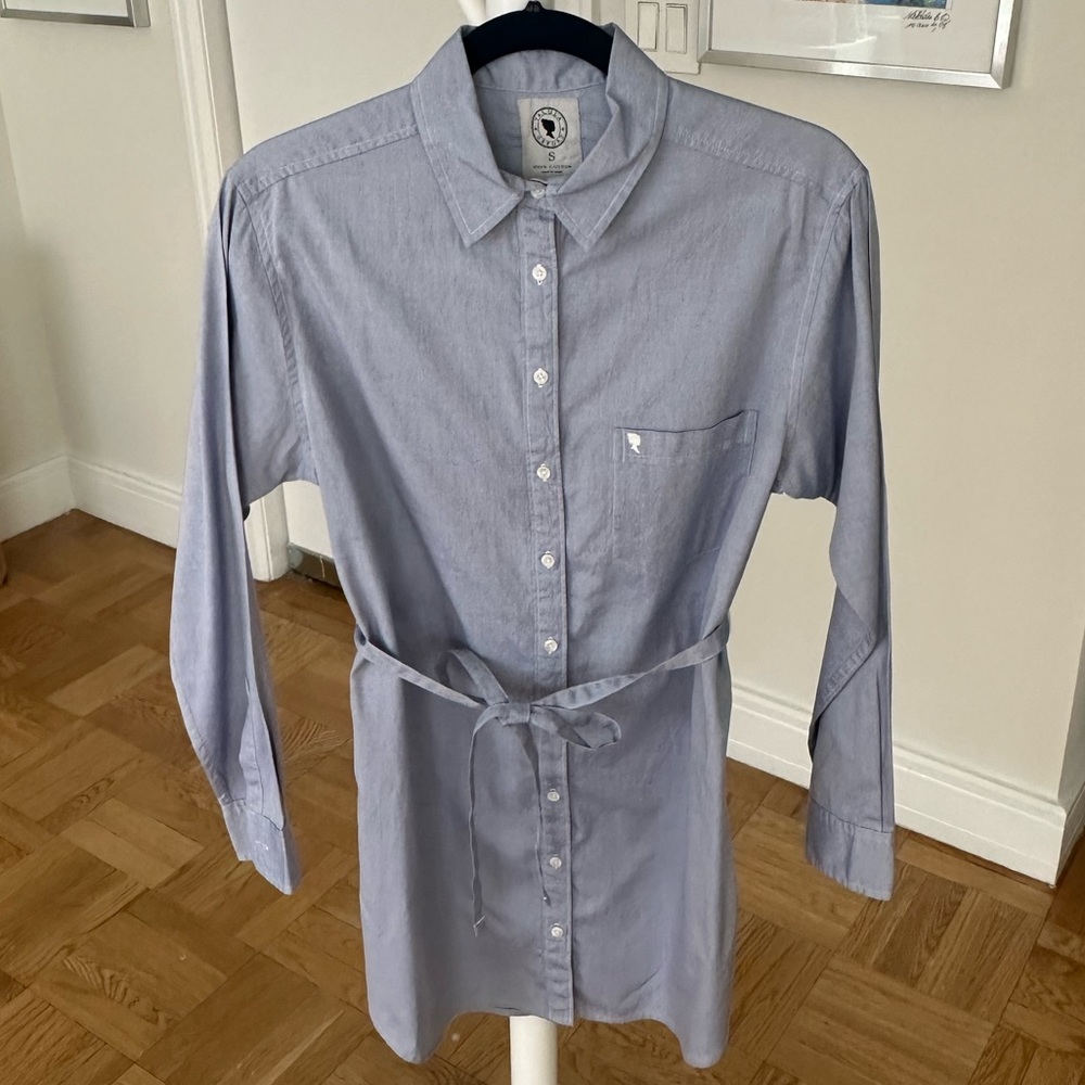 Aritzia Oxford Shirt Dress